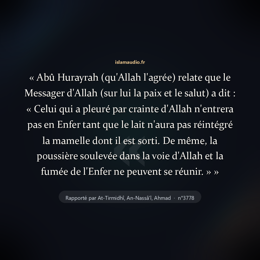 Aperçu du hadith