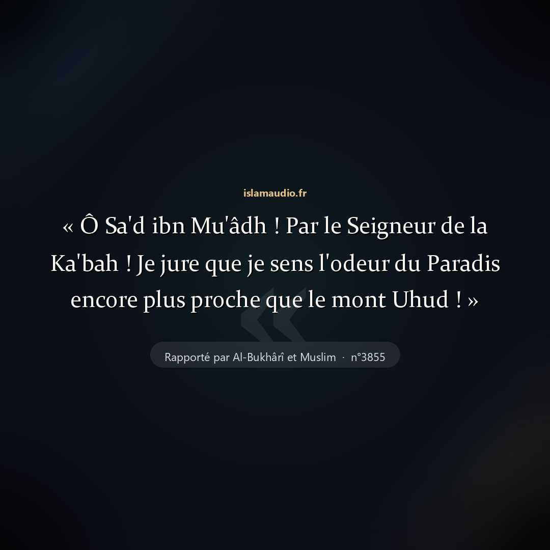Aperçu du hadith