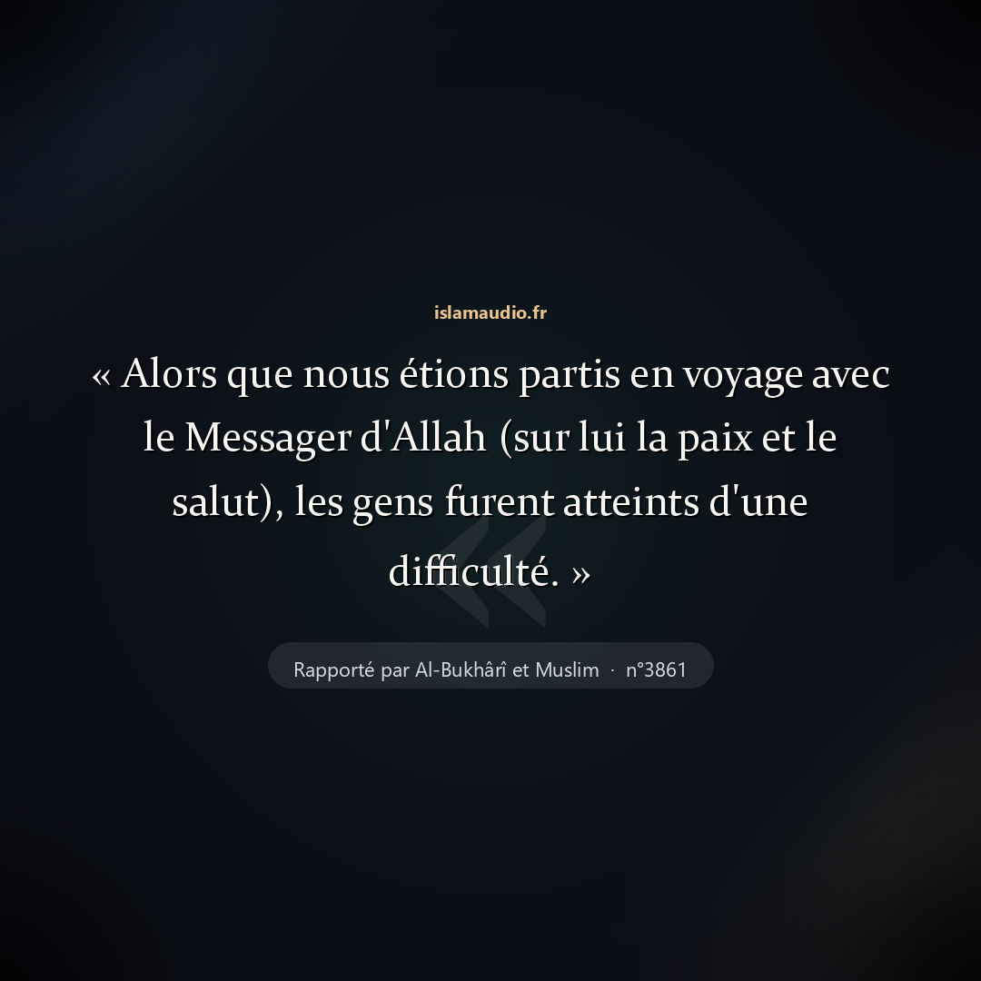 Aperçu du hadith
