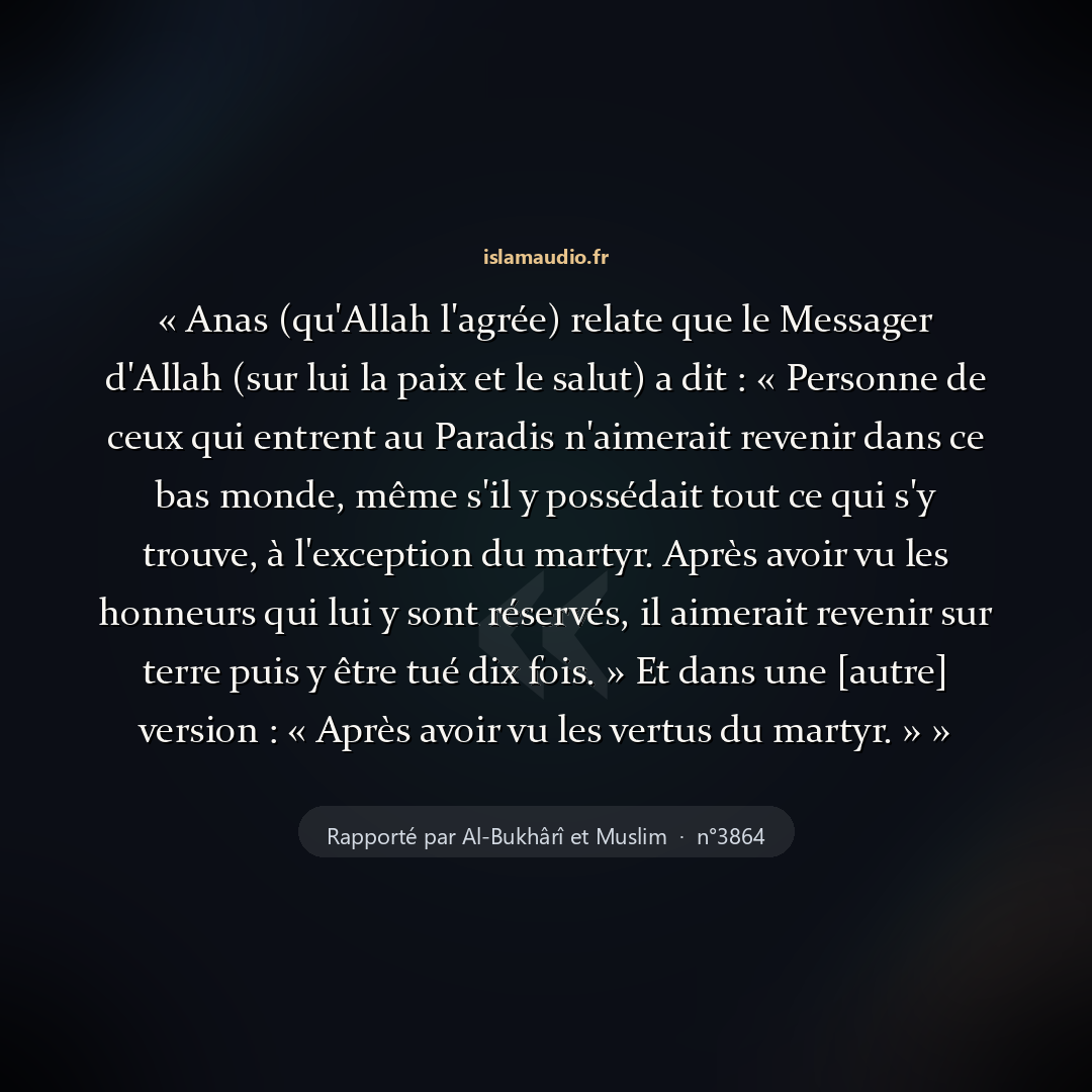 Aperçu du hadith