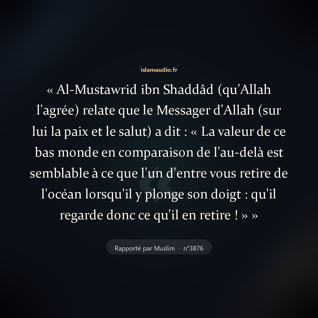 Aperçu du hadith