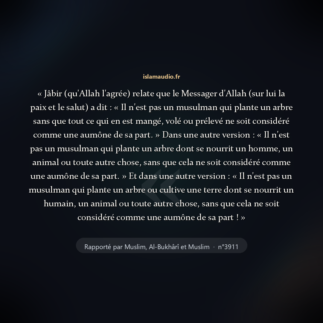 Aperçu du hadith