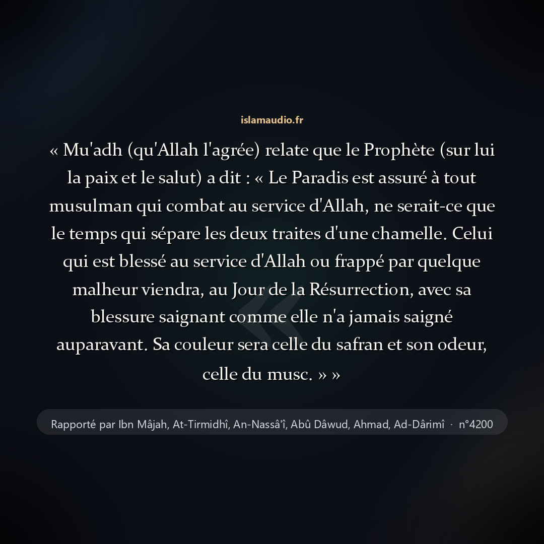 Aperçu du hadith