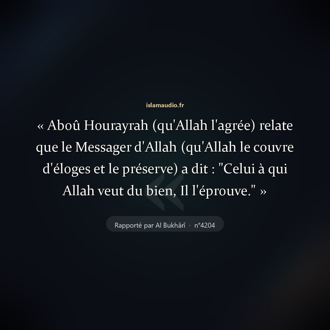 Aperçu du hadith