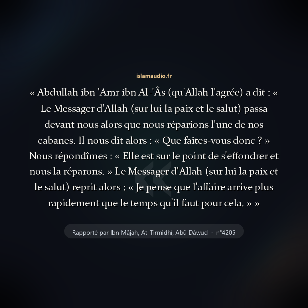 Aperçu du hadith