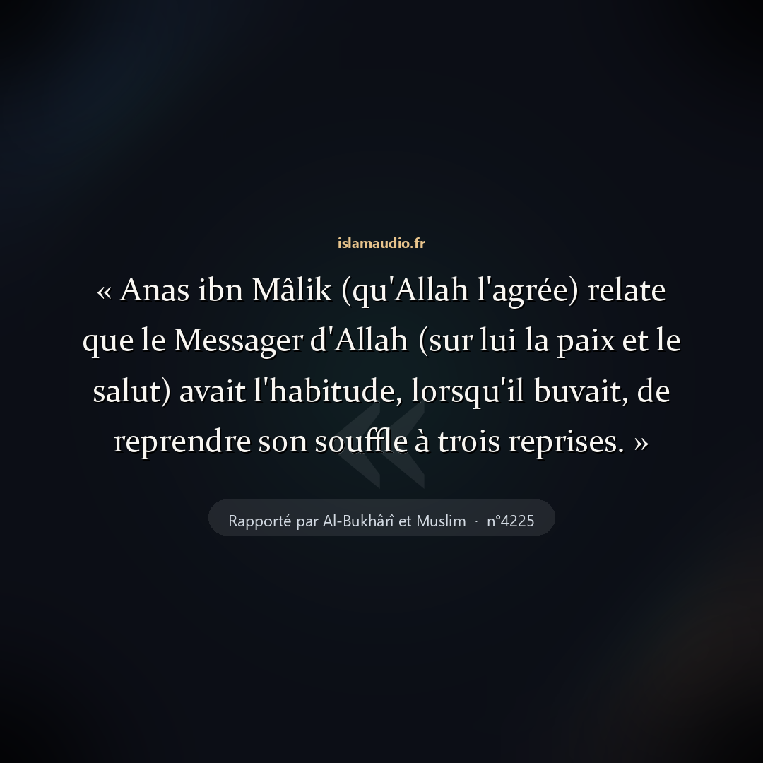 Aperçu du hadith