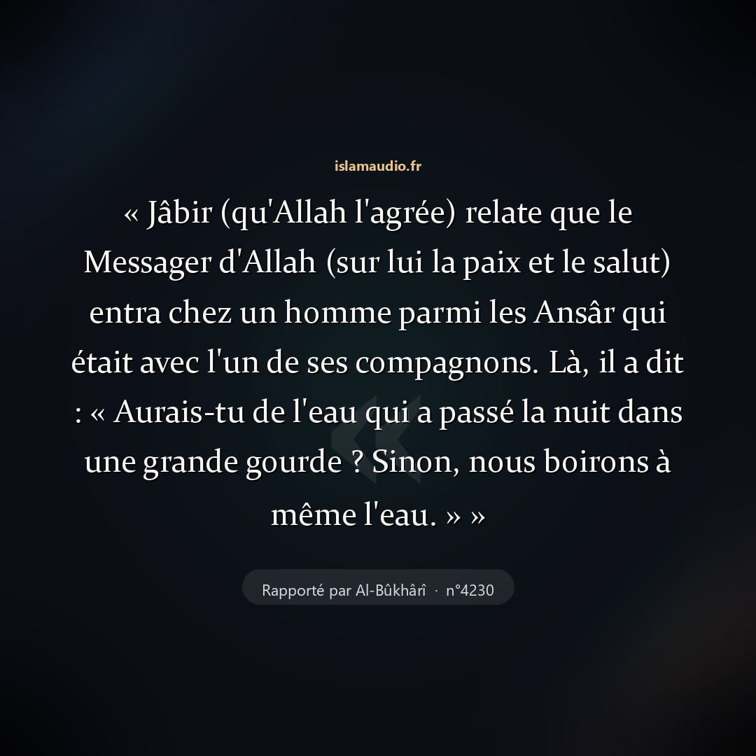 Aperçu du hadith