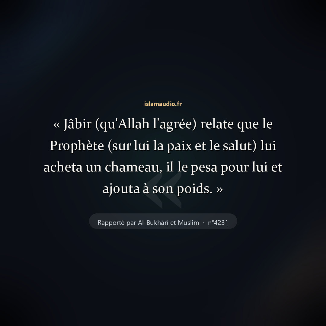 Aperçu du hadith