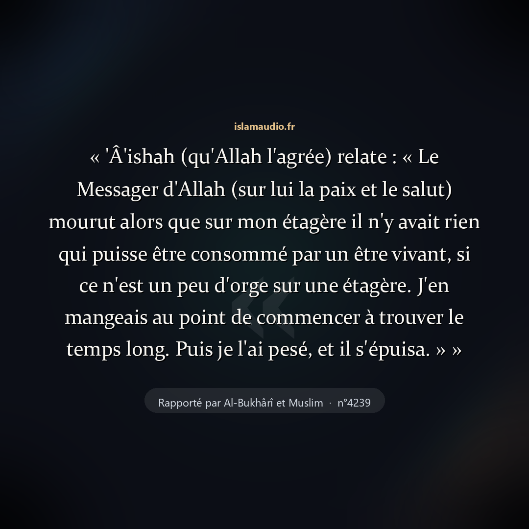 Aperçu du hadith
