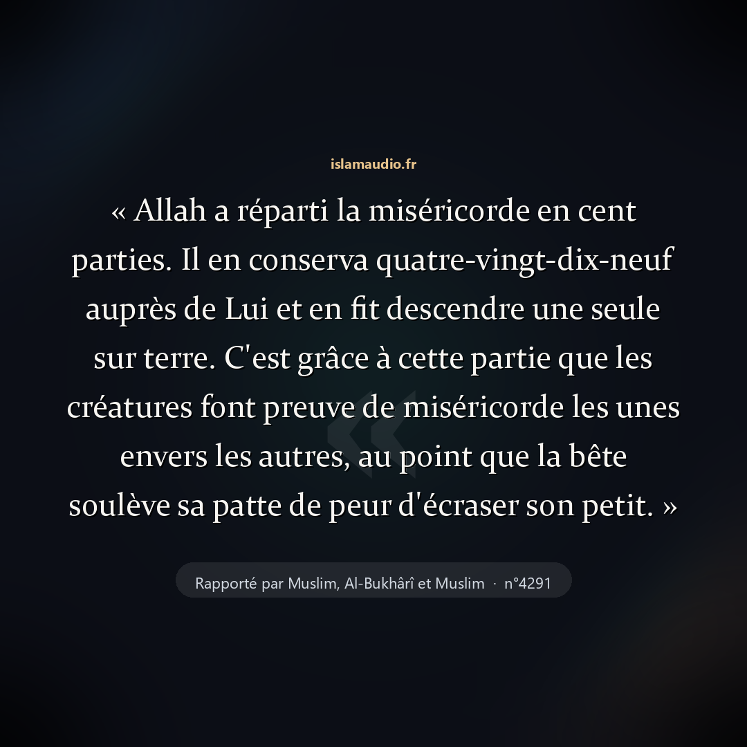 Aperçu du hadith