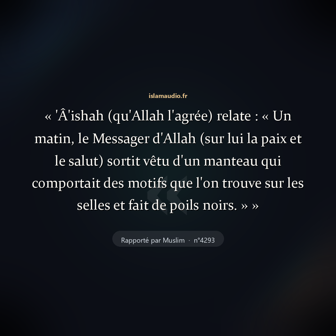 Aperçu du hadith