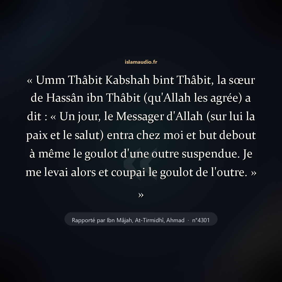 Aperçu du hadith