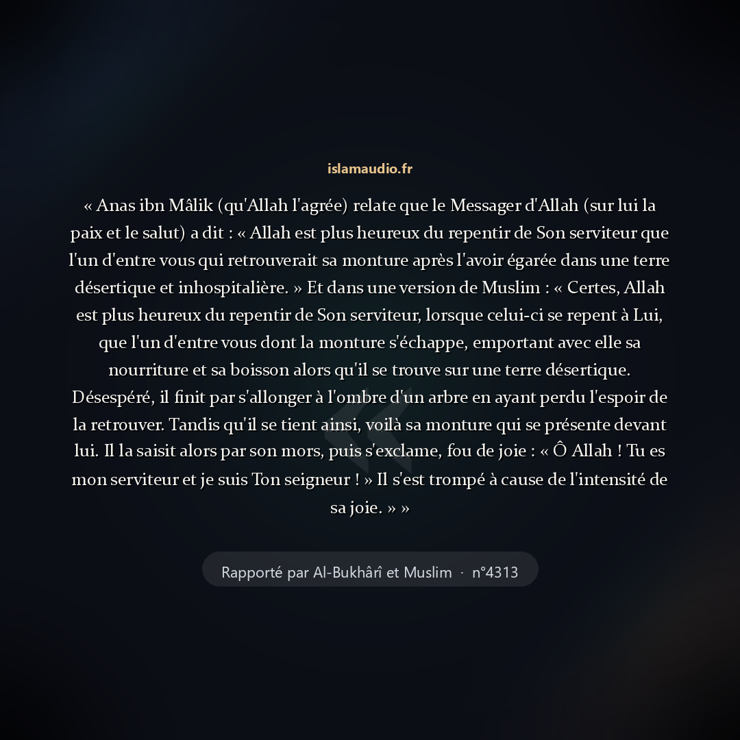 Aperçu du hadith