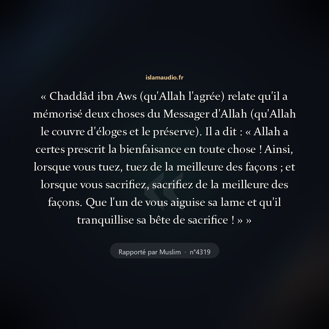 Aperçu du hadith