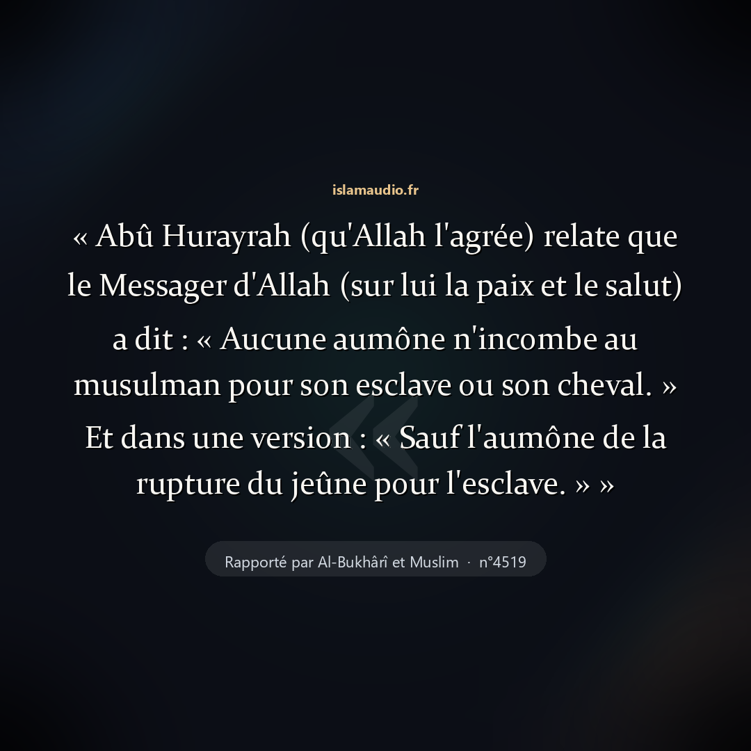 Aperçu du hadith