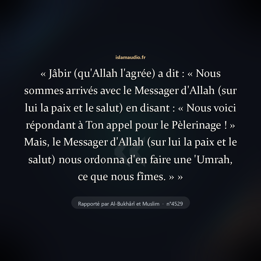 Aperçu du hadith