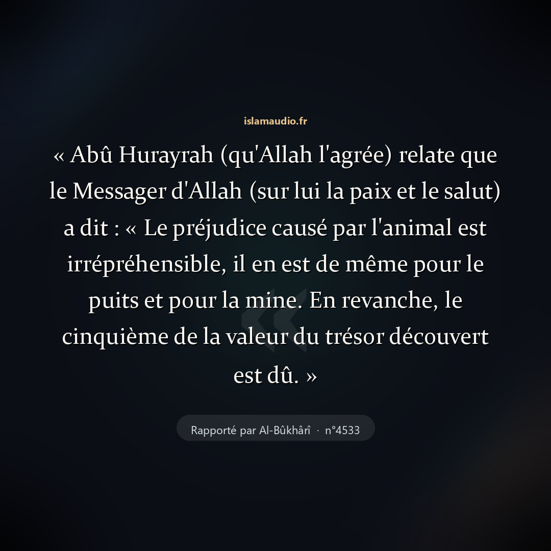 Aperçu du hadith