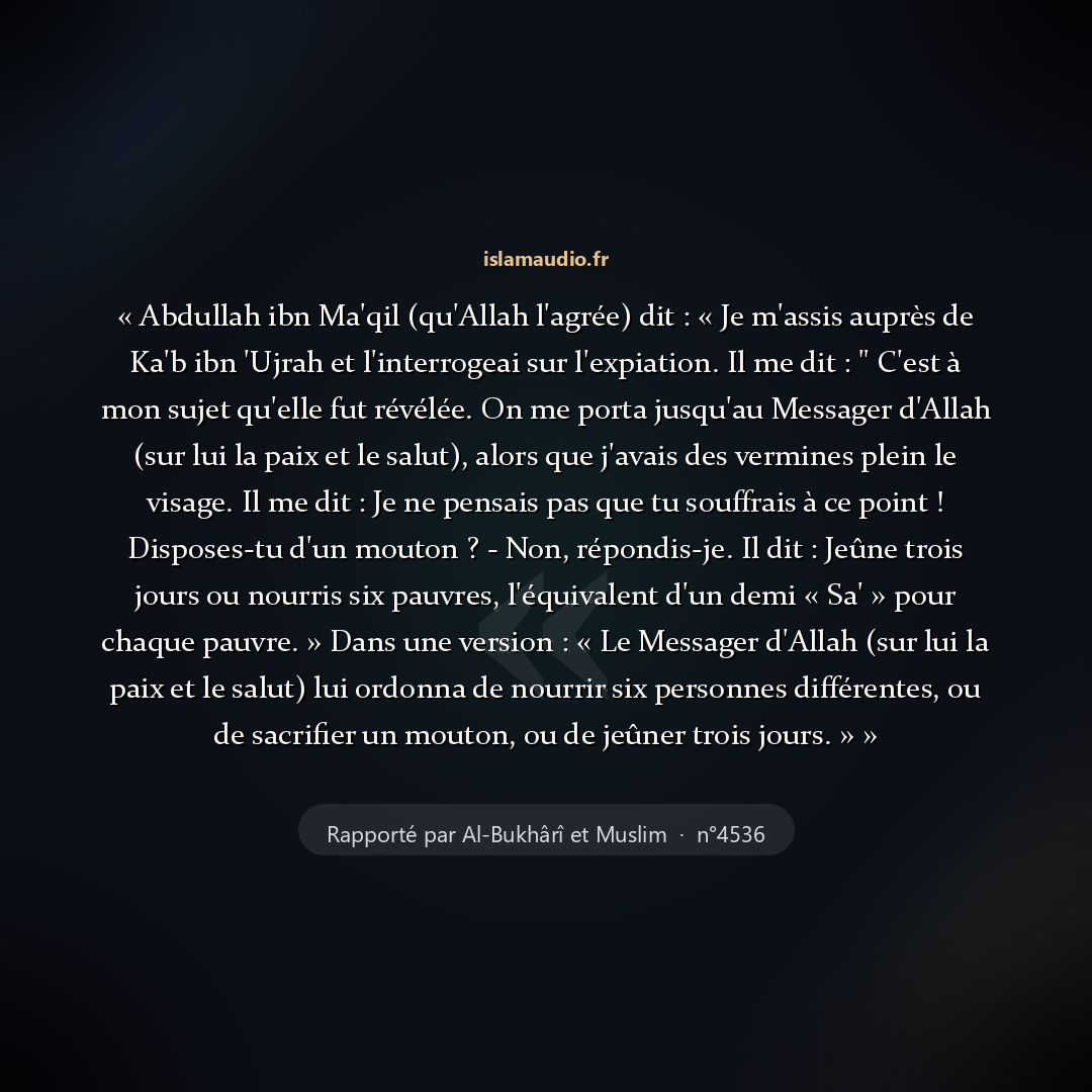Aperçu du hadith