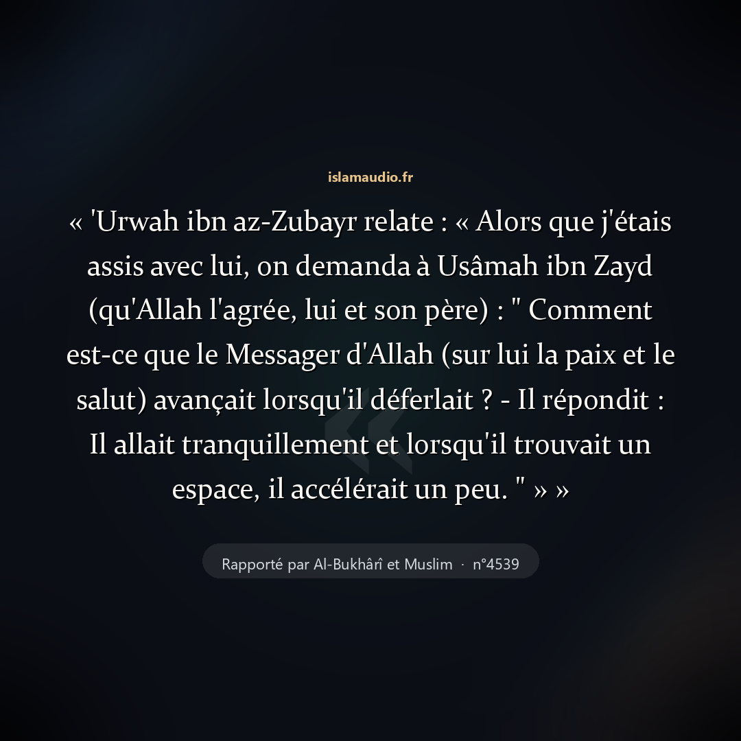 Aperçu du hadith
