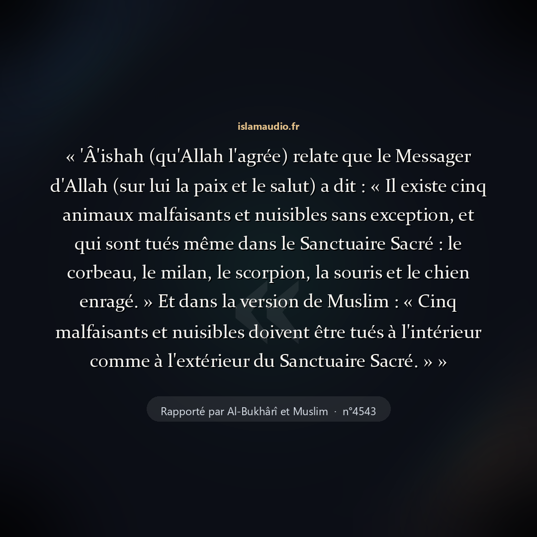 Aperçu du hadith