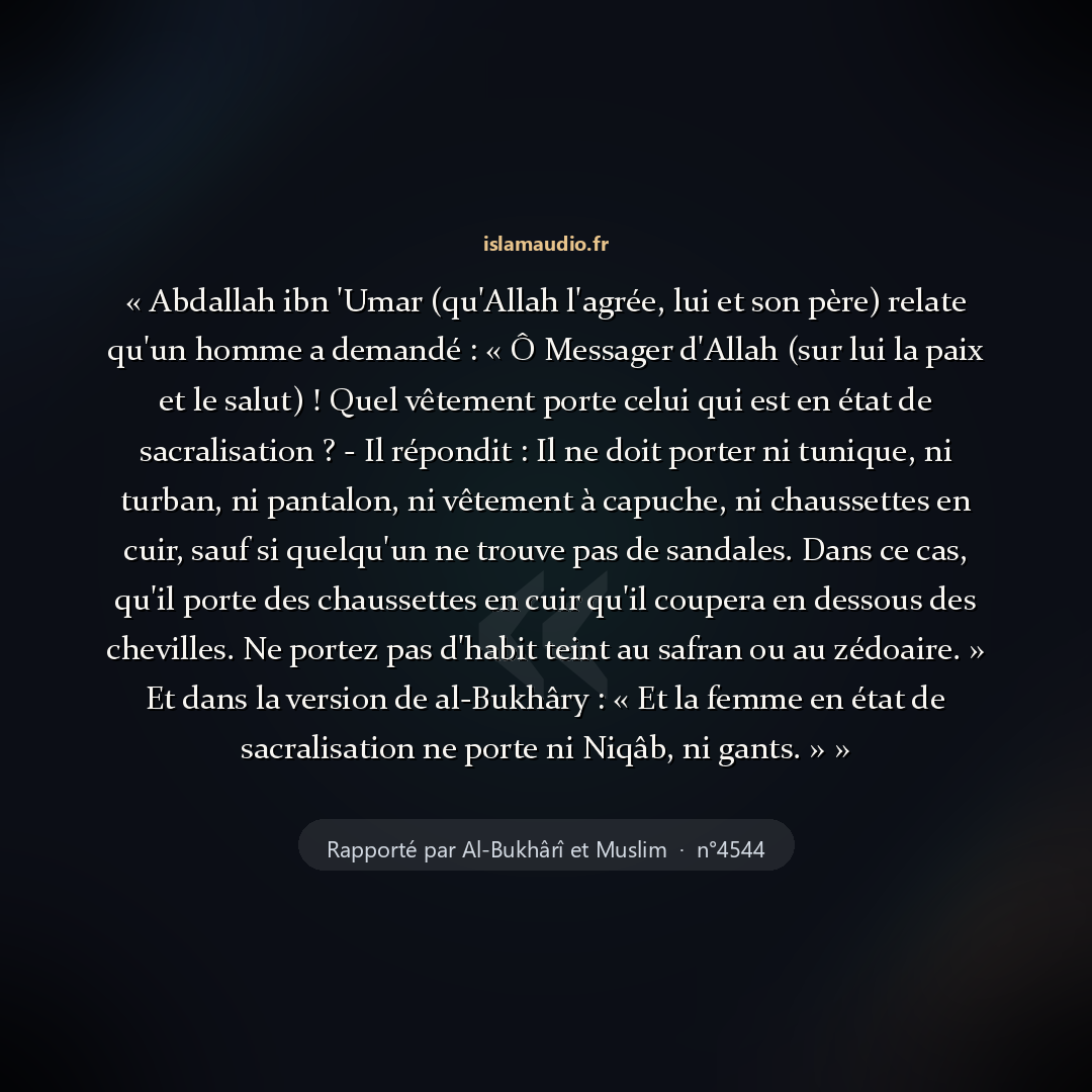 Aperçu du hadith
