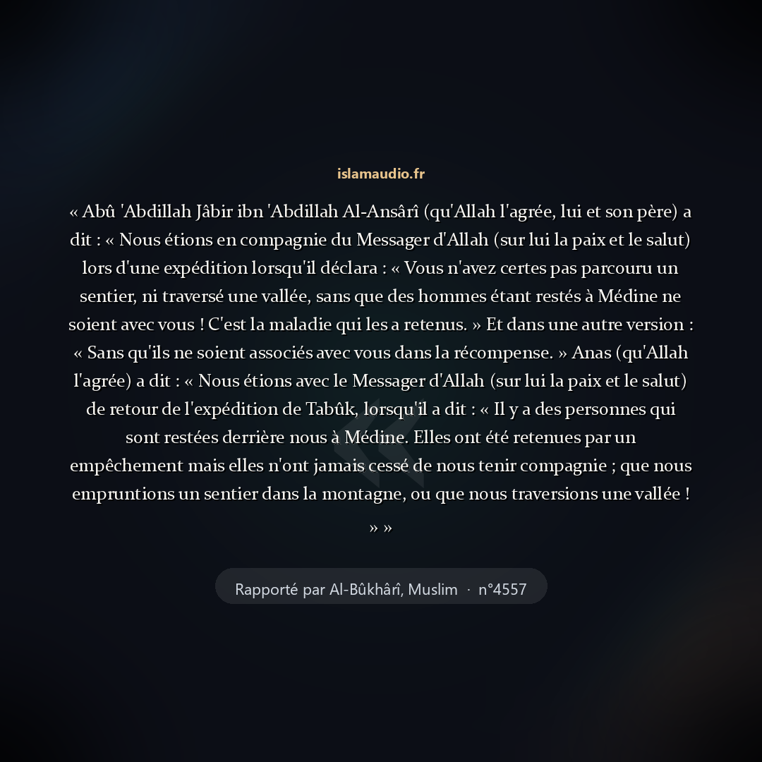 Aperçu du hadith