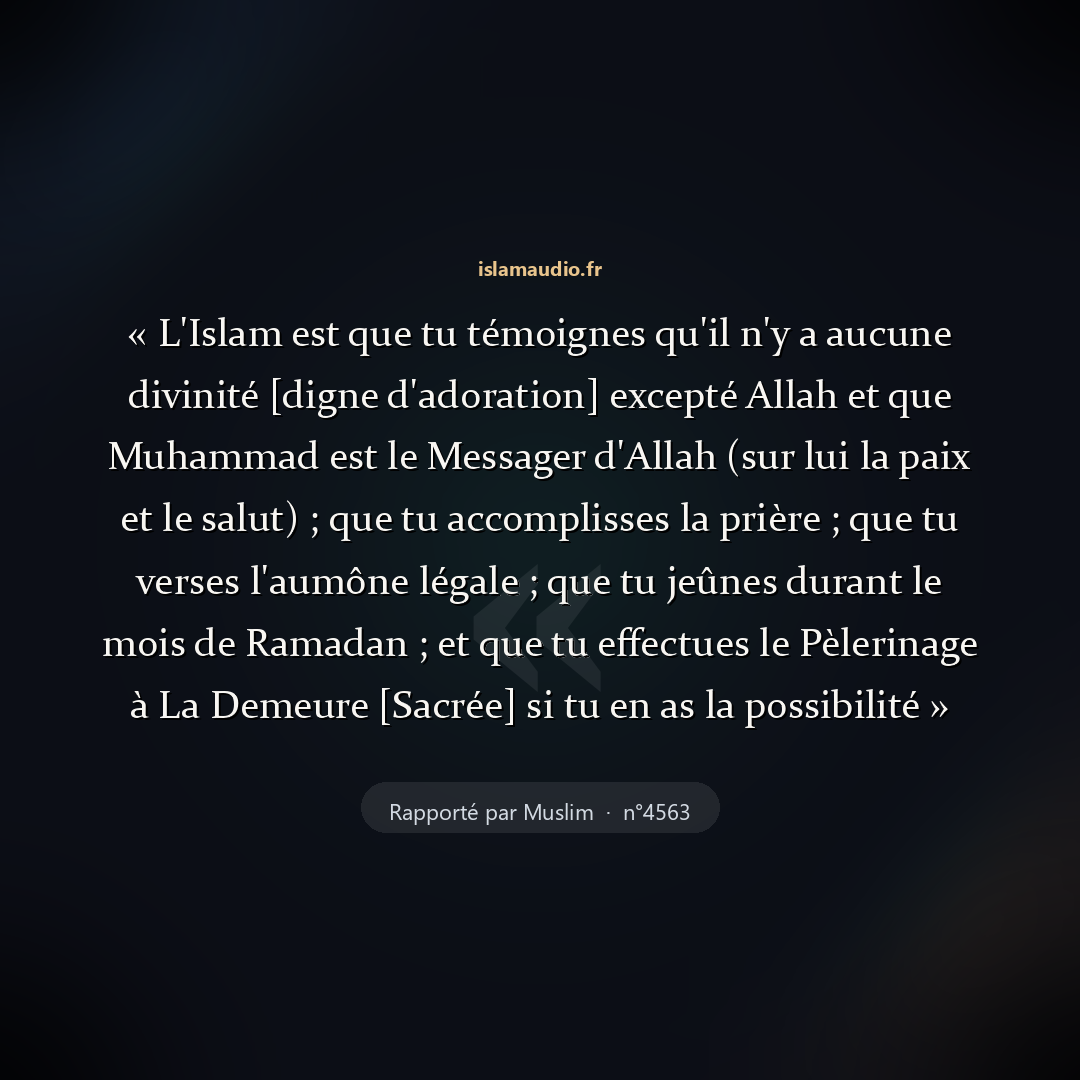 Aperçu du hadith