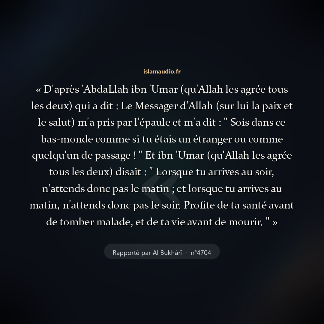Aperçu du hadith