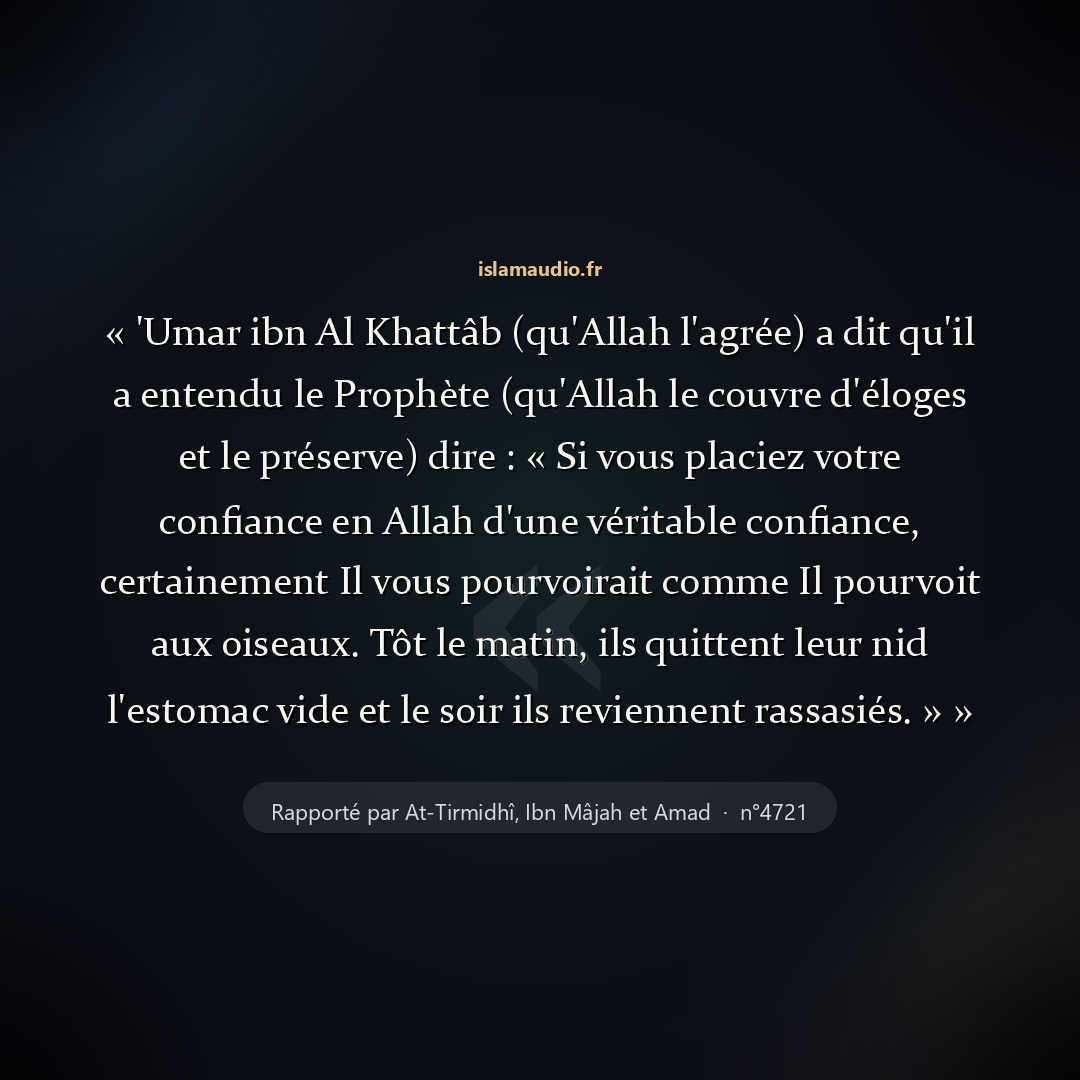Aperçu du hadith