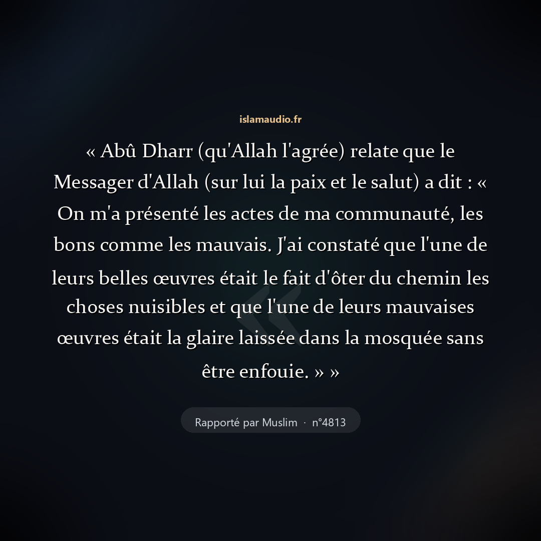Aperçu du hadith