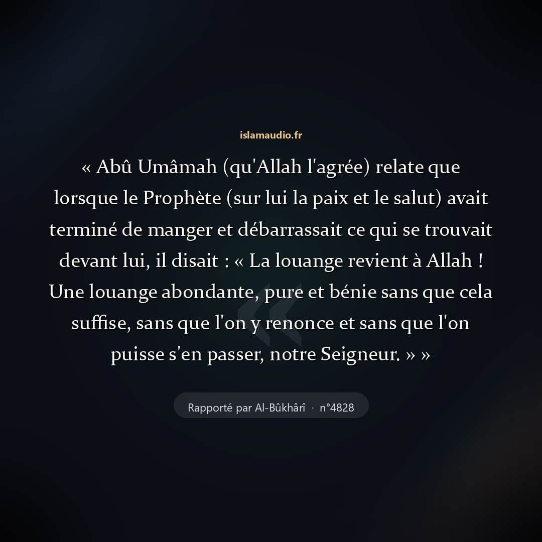 Aperçu du hadith