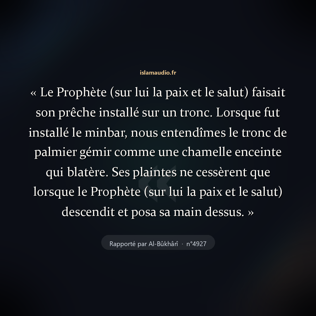 Aperçu du hadith