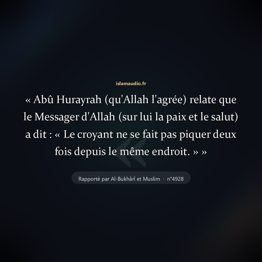 Aperçu du hadith