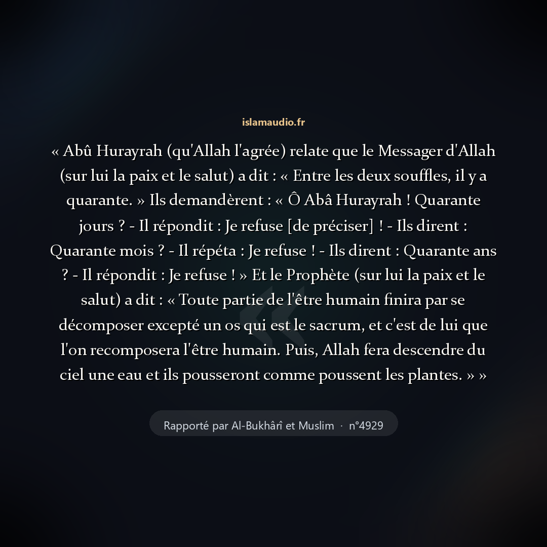 Aperçu du hadith