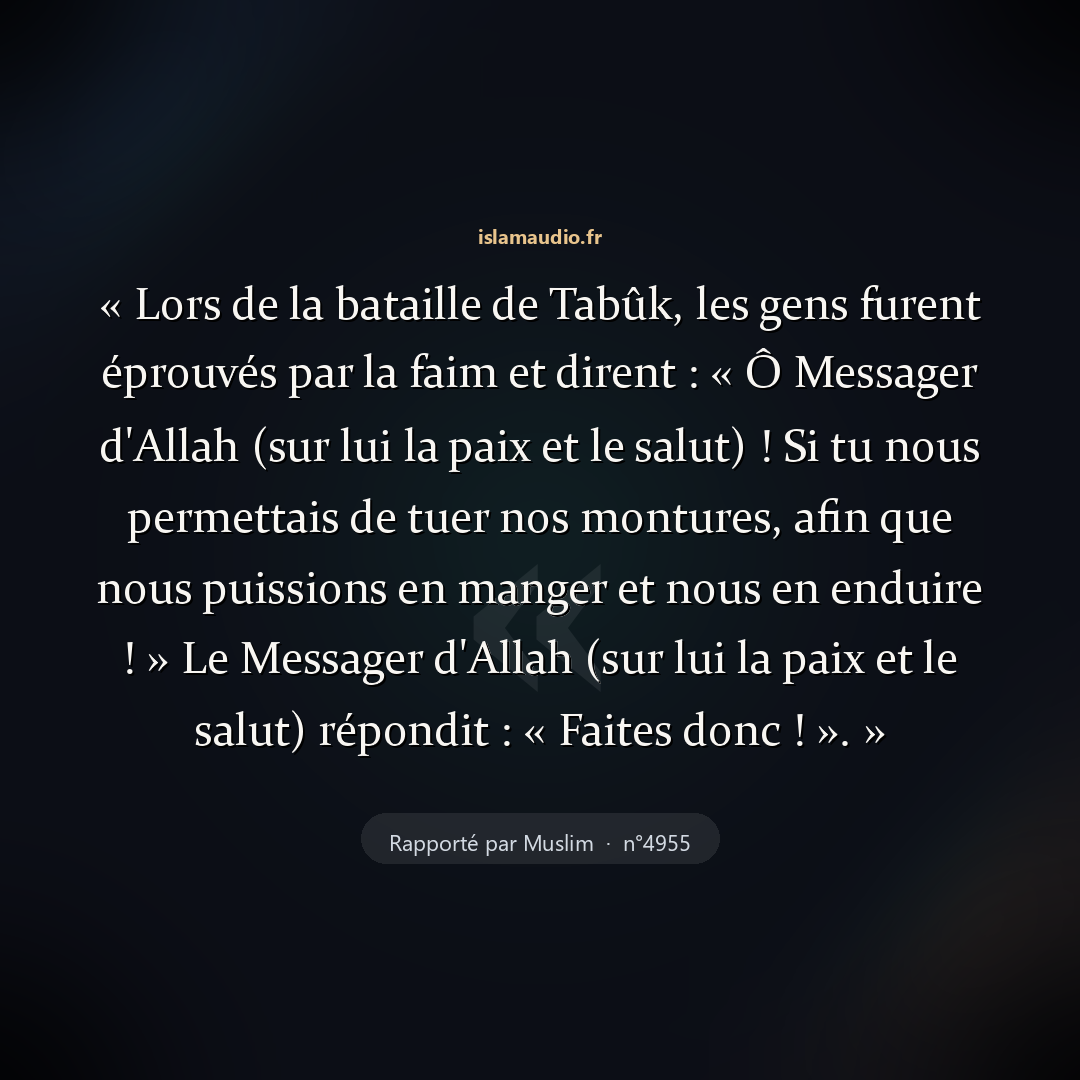 Aperçu du hadith