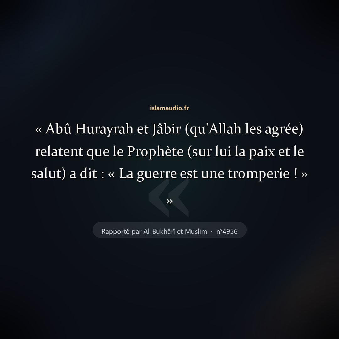 Aperçu du hadith