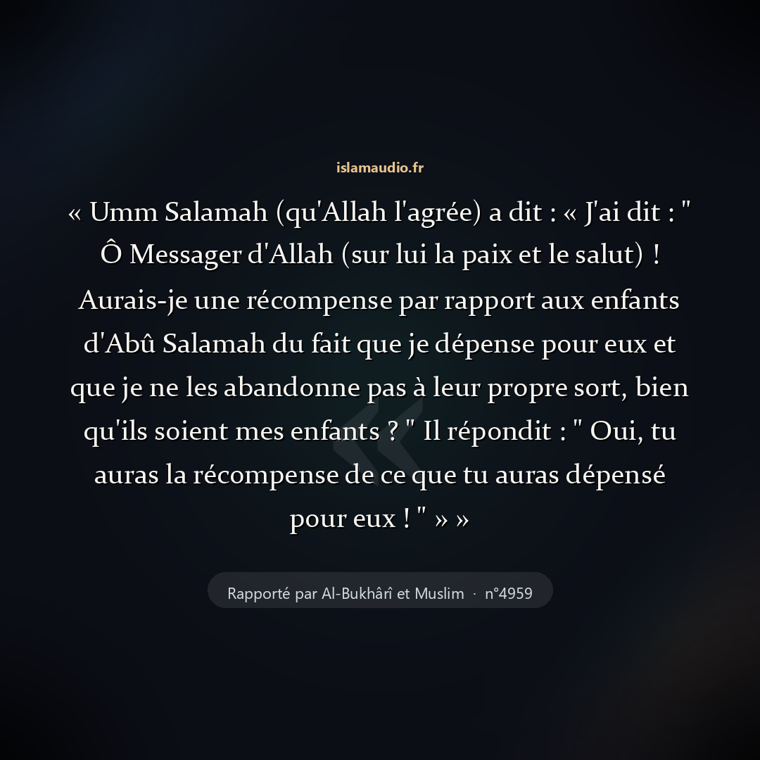 Aperçu du hadith