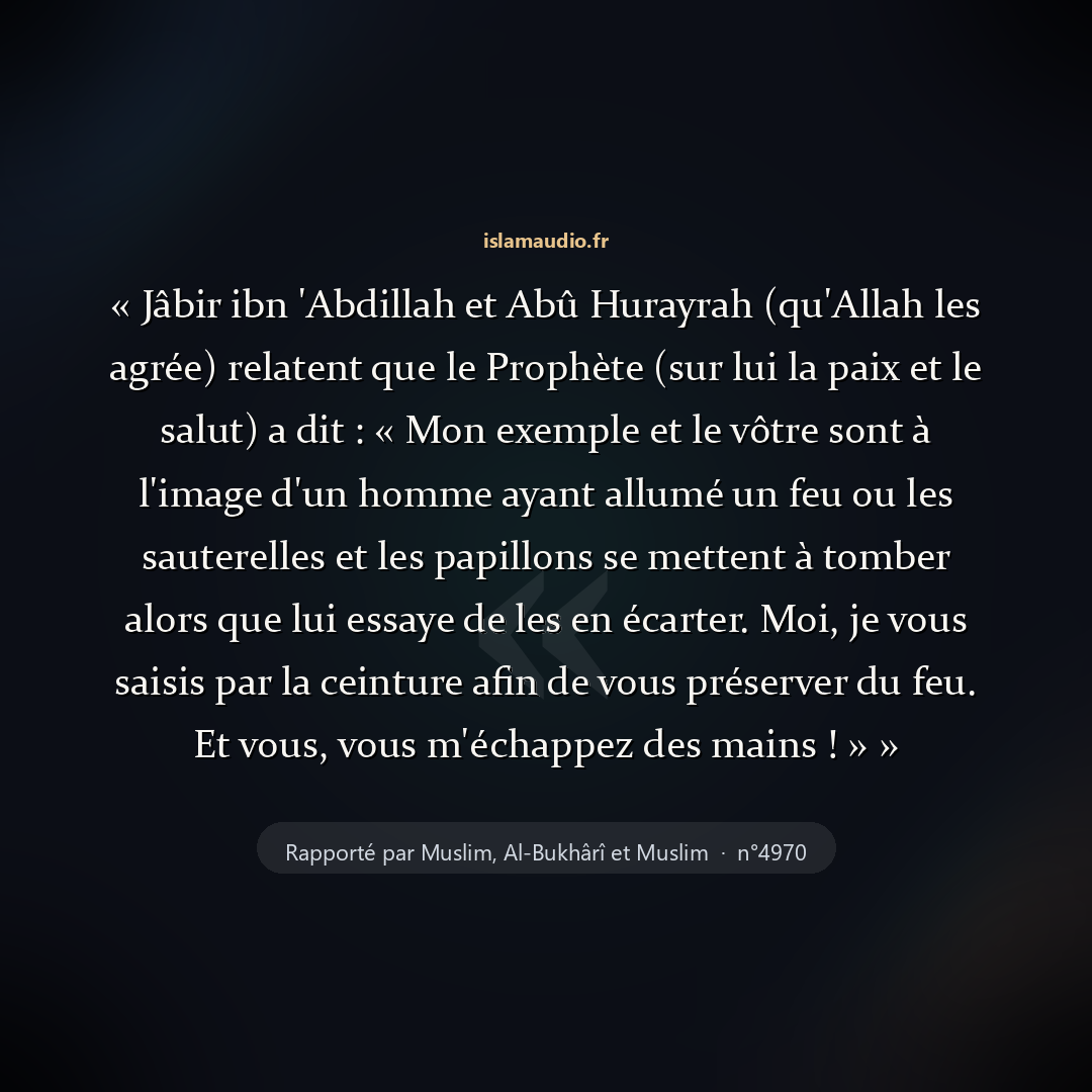Aperçu du hadith