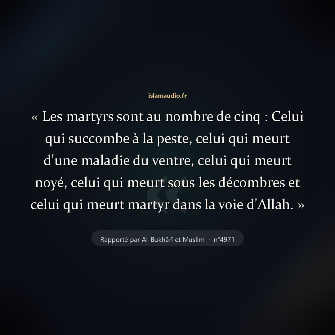 Aperçu du hadith