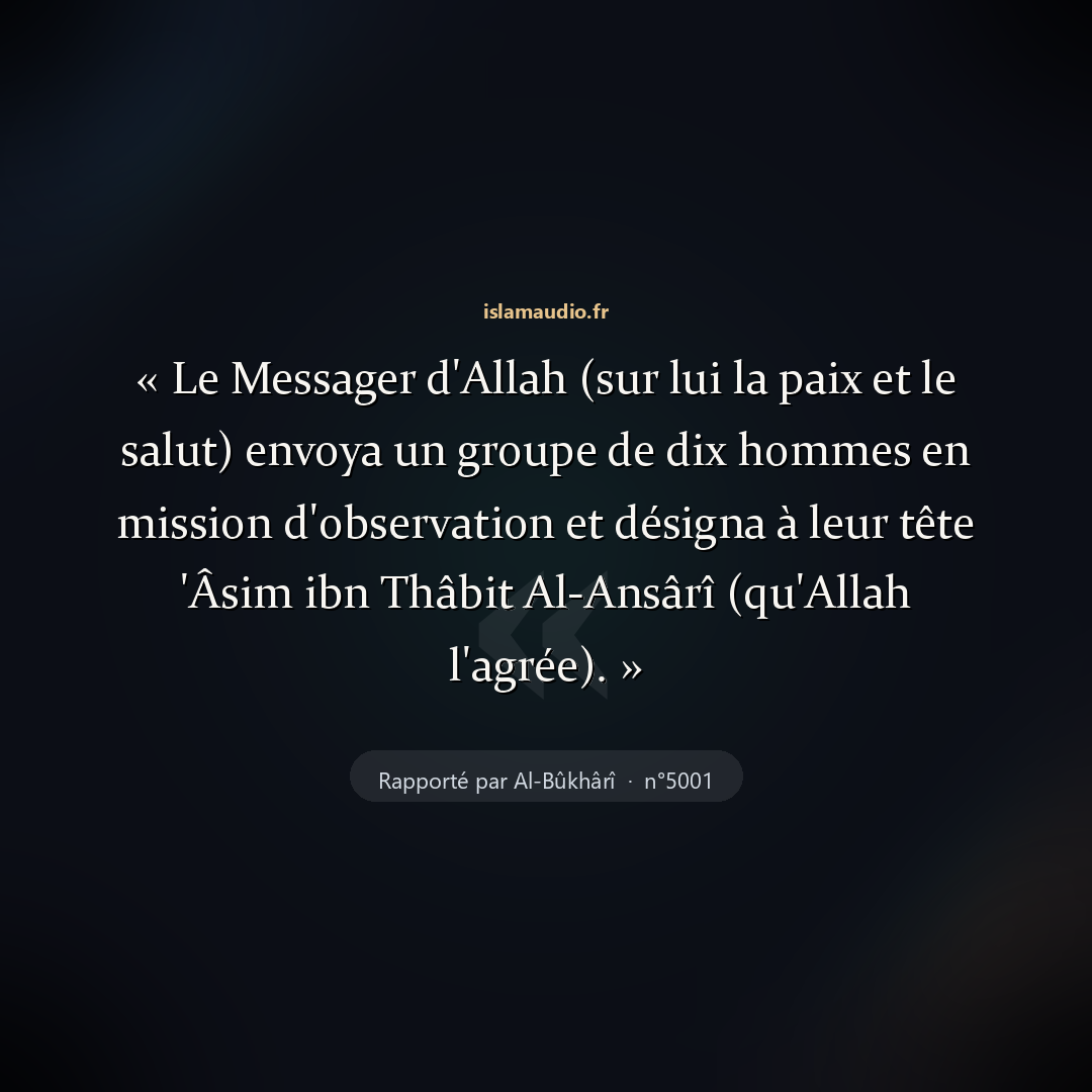 Aperçu du hadith
