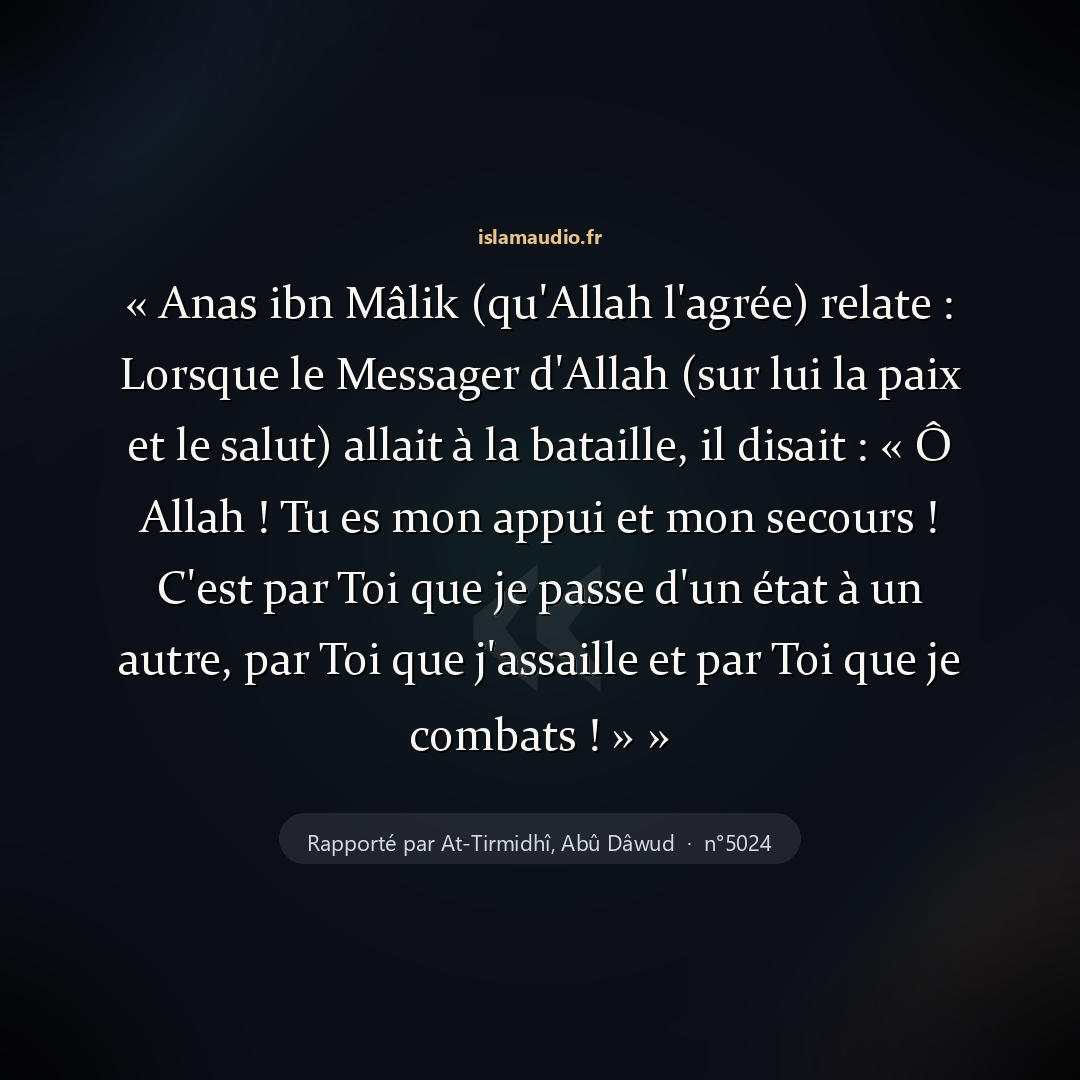 Aperçu du hadith