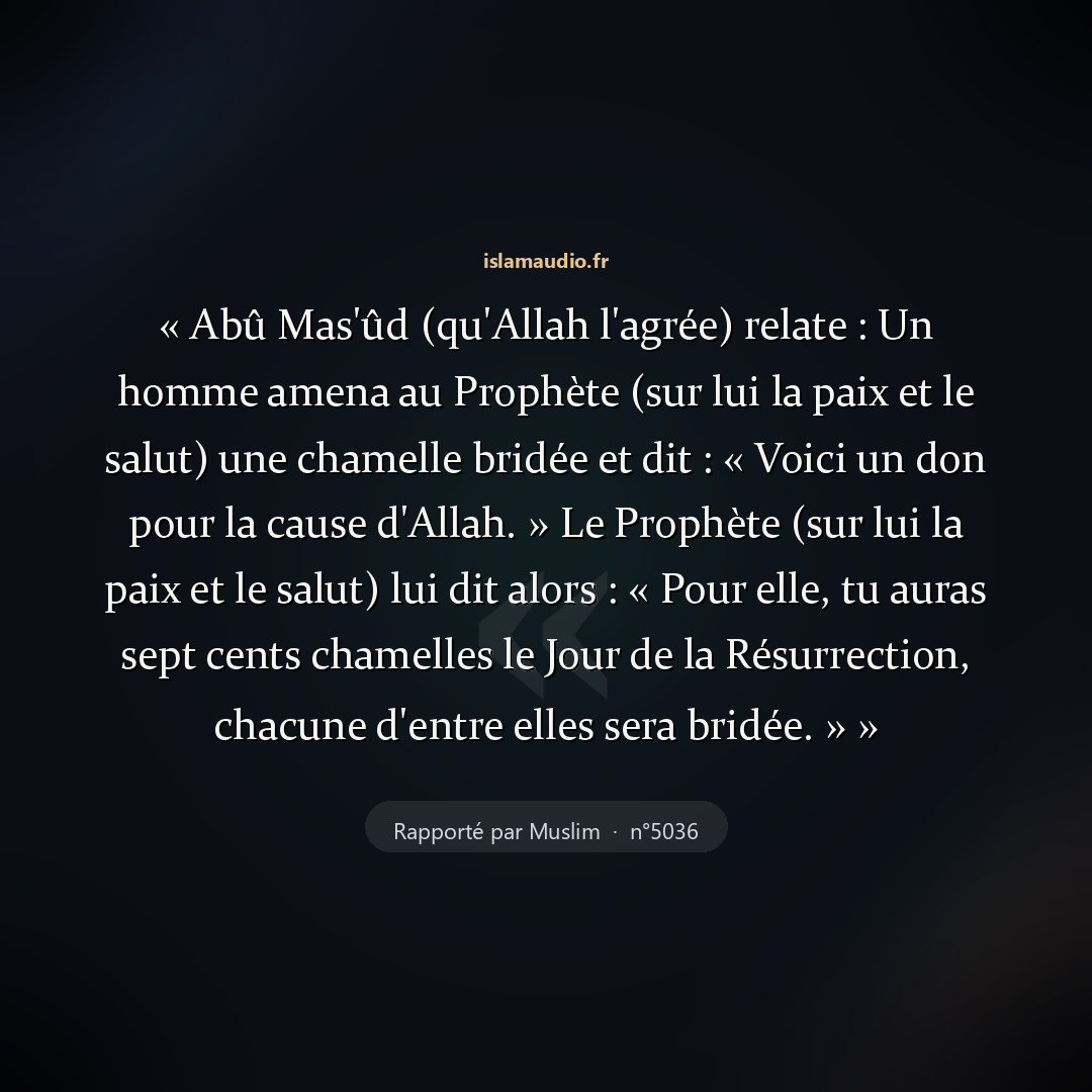 Aperçu du hadith
