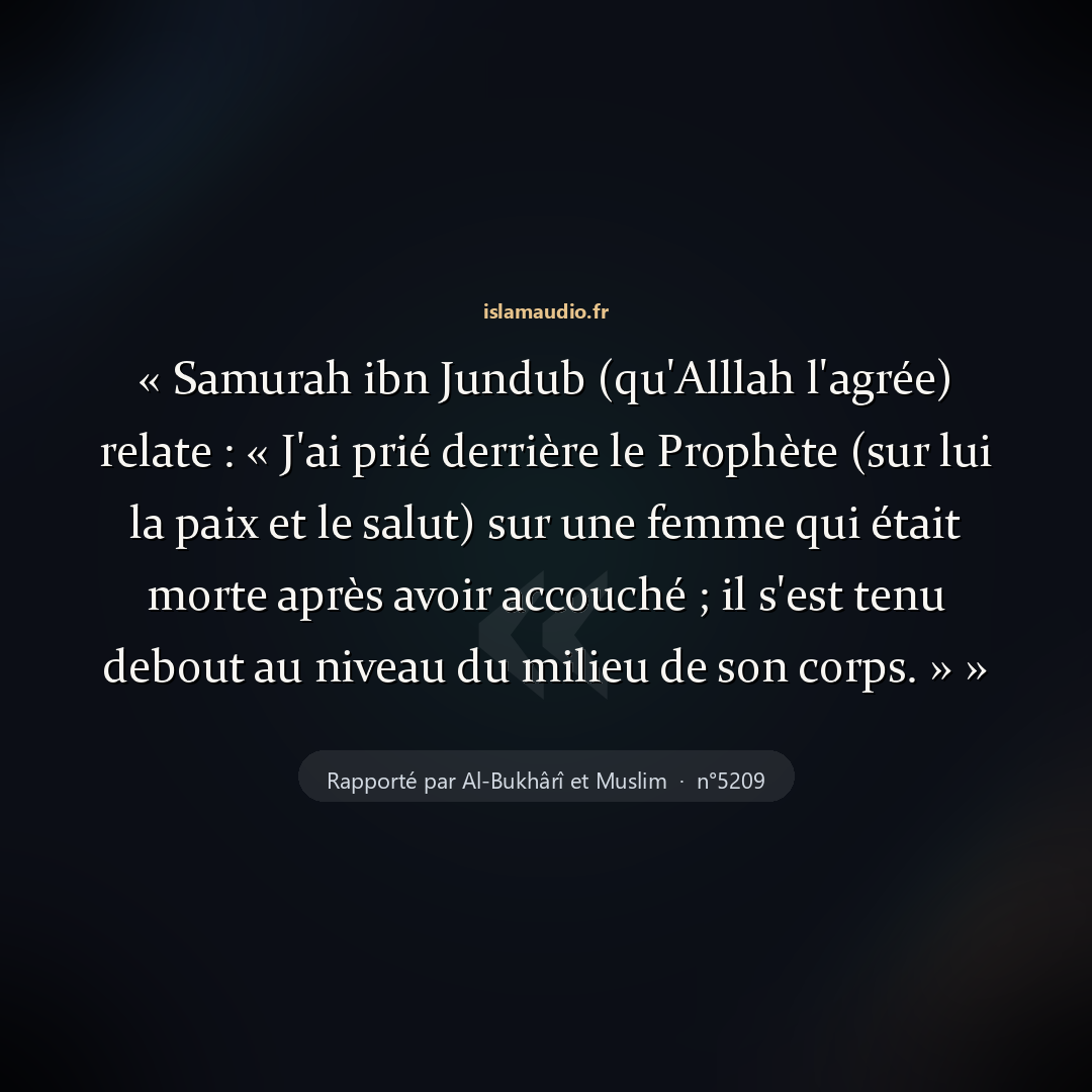 Aperçu du hadith