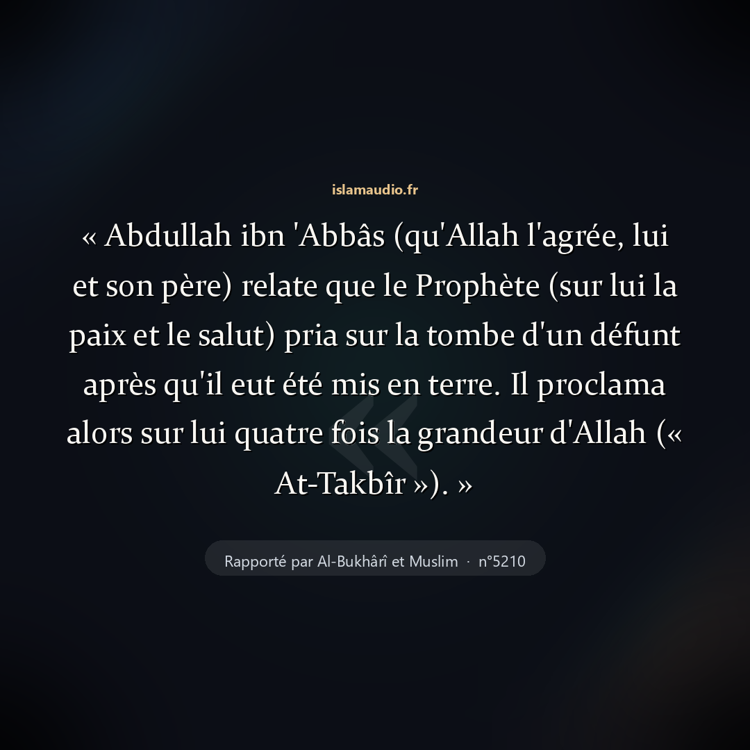 Aperçu du hadith