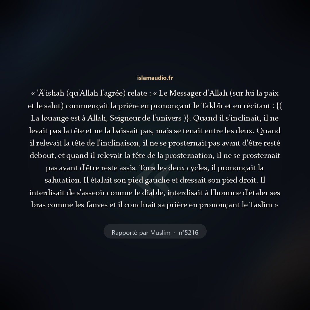 Aperçu du hadith