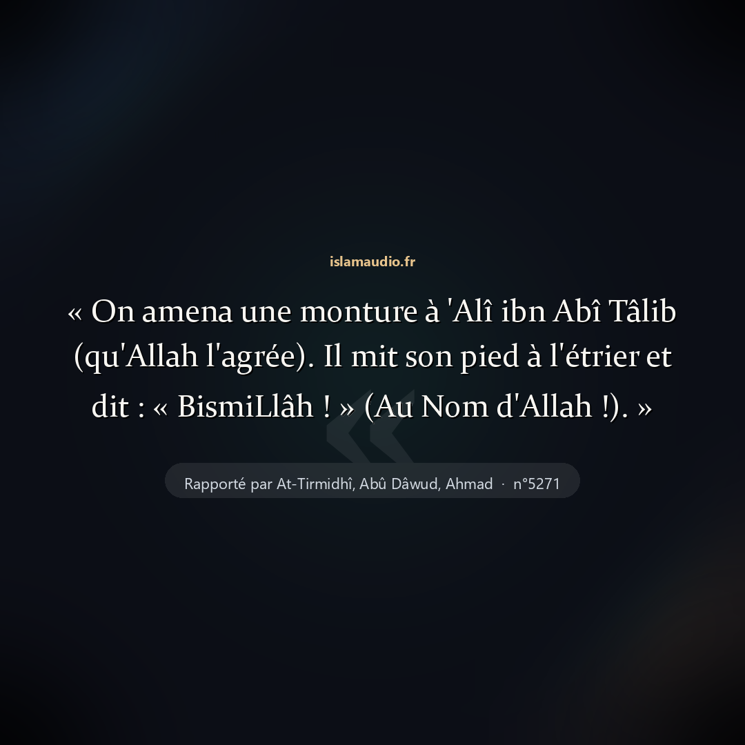 Aperçu du hadith