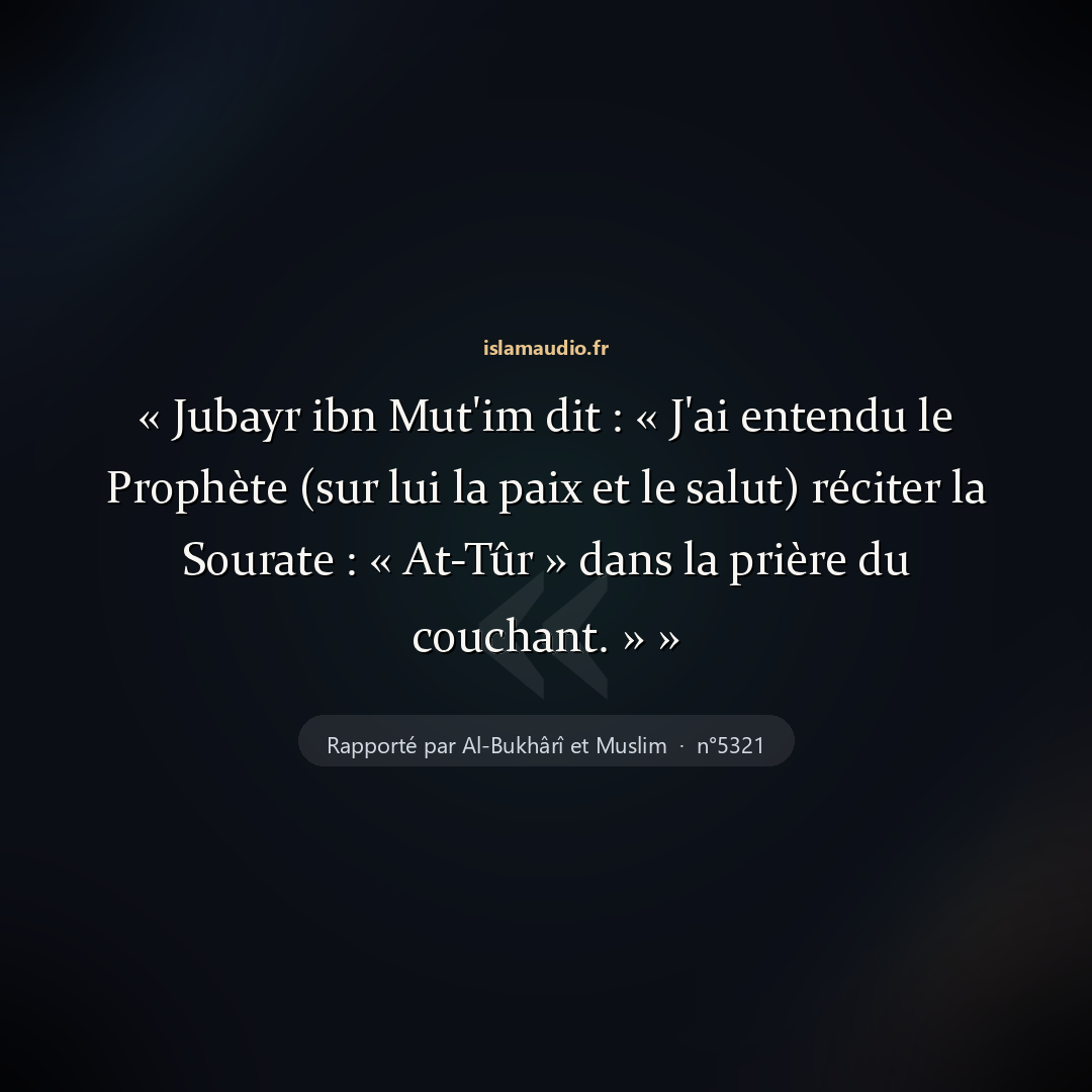 Aperçu du hadith