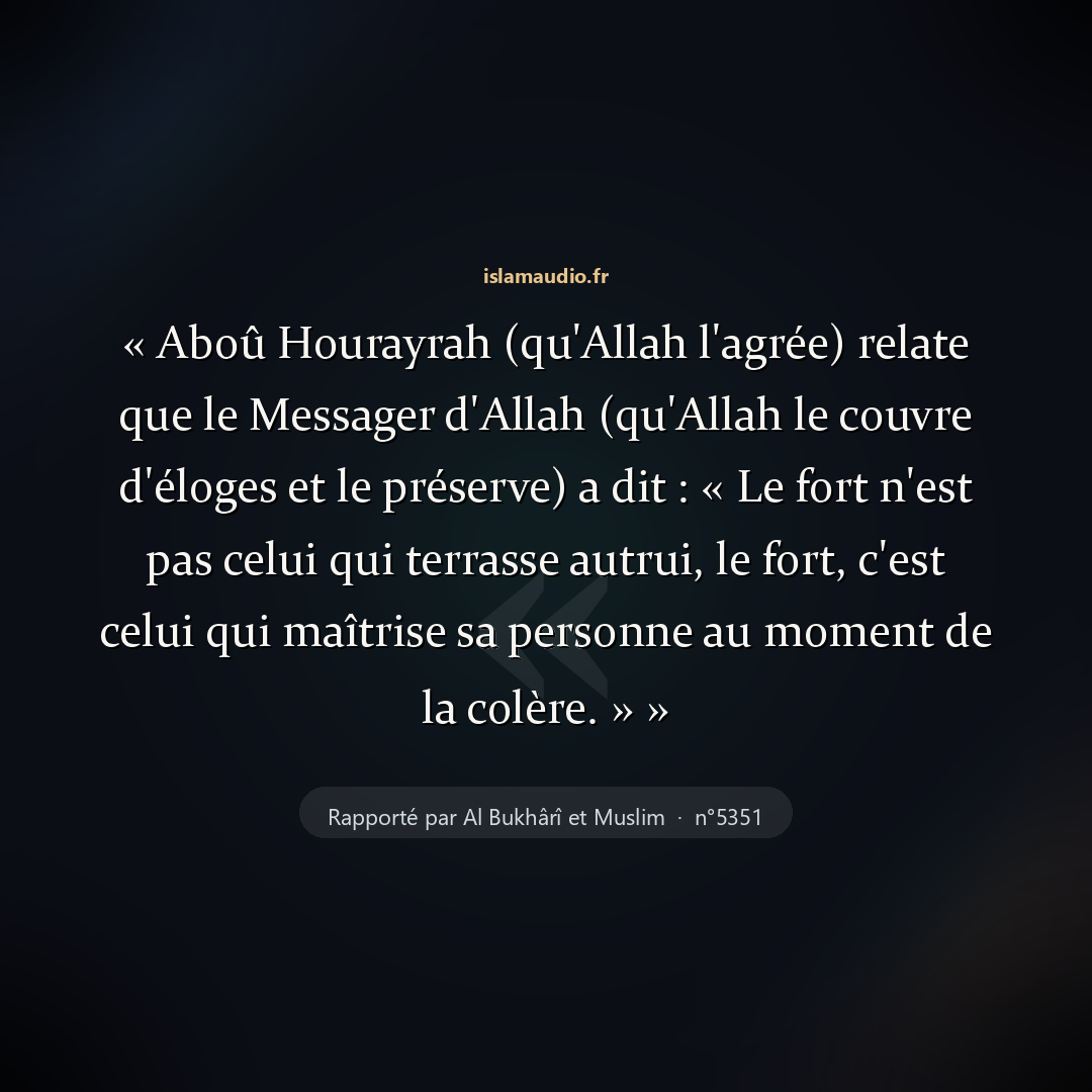 Aperçu du hadith