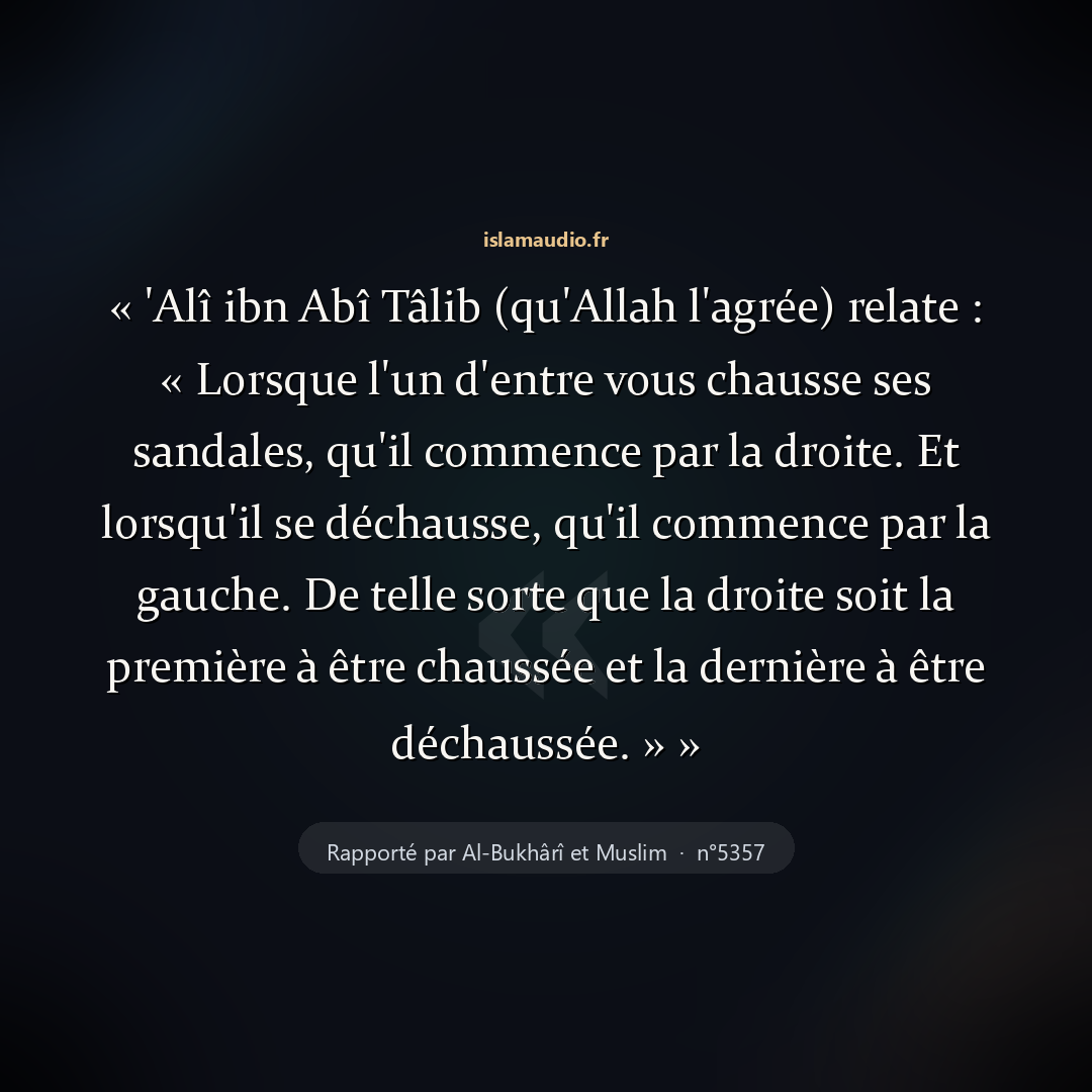 Aperçu du hadith