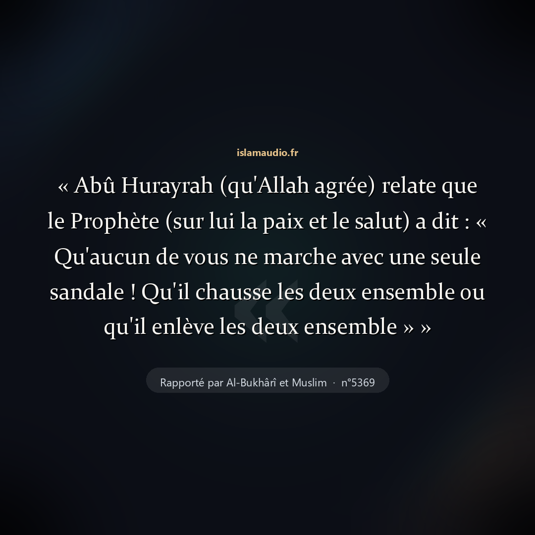 Aperçu du hadith
